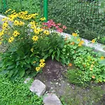 Na Rece Sazave Samopse