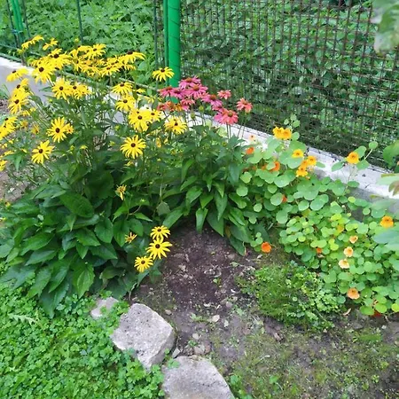 Na Rece Sazave Samopse
