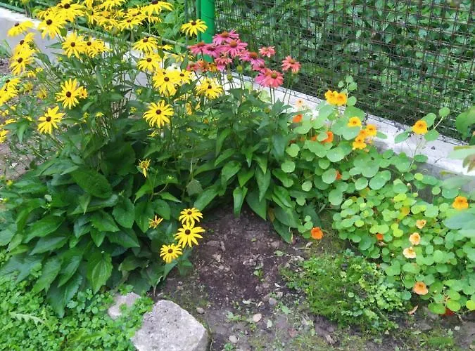 Na Rece Sazave Samopse