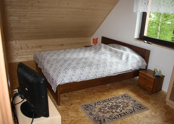 Holiday home Na Rece Sazave *